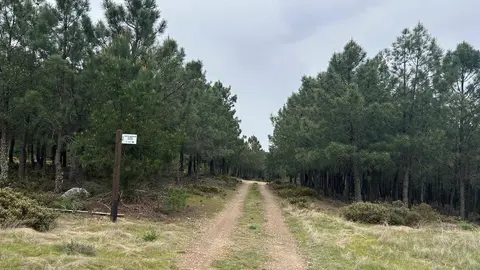 Reserva regional de caza sierra de la Culebra desde la carretera de Rihonor