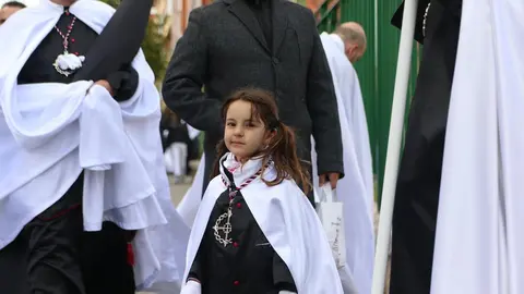 Hermandad de Jesús en su Tercera Caída