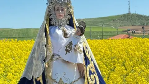  rogativa desde Madridanos a Bamba (6)