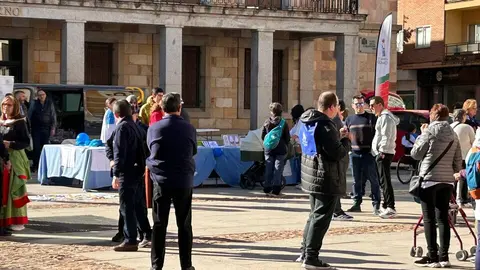 Marcha Solidaria por el Autismo en Zamora