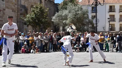 Día Internacional de la Danza, Plaza Mayor