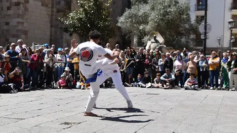 Día Internacional de la Danza, Plaza Mayor
