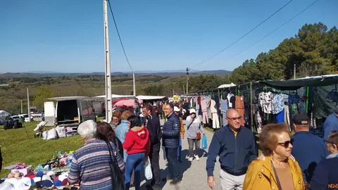 La Luz en la Raya brilla con luz propia
