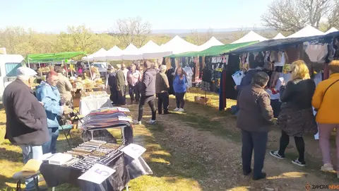 La Luz en la Raya brilla con luz propia
