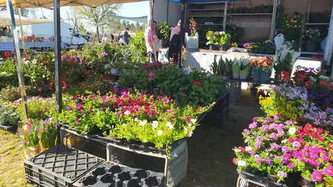 La Luz en la Raya brilla con luz propia