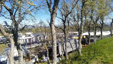 La Luz en la Raya brilla con luz propia