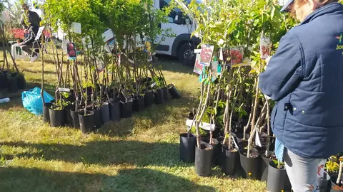 La Luz en la Raya brilla con luz propia