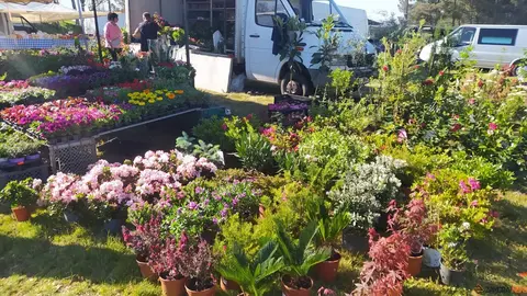La Luz en la Raya brilla con luz propia