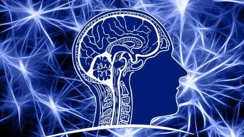 Cerebro. Foto de archivo