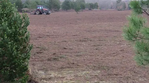 +Desbroces en Mahide (1)