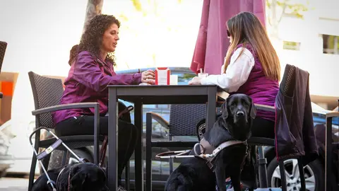 Día Internacional del Perro Guía