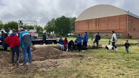 1 Mayo, Quintos Coreses