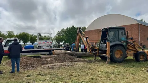 1 Mayo, Quintos Coreses