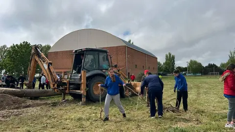 1 Mayo, Quintos Coreses