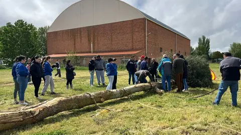 1 Mayo, Quintos Coreses