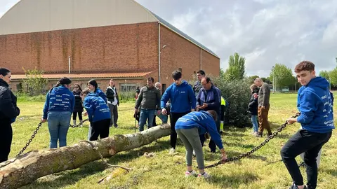 1 Mayo, Quintos Coreses