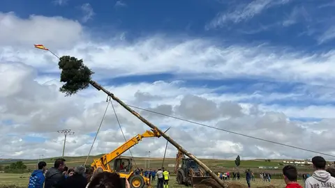1 Mayo, Quintos Coreses