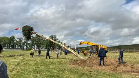 1 Mayo, Quintos Coreses