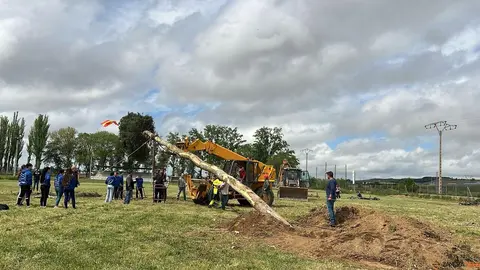 1 Mayo, Quintos Coreses