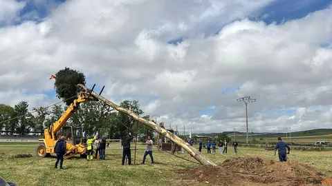 1 Mayo, Quintos Coreses