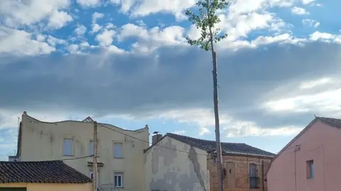 mayo de Gema del Vino