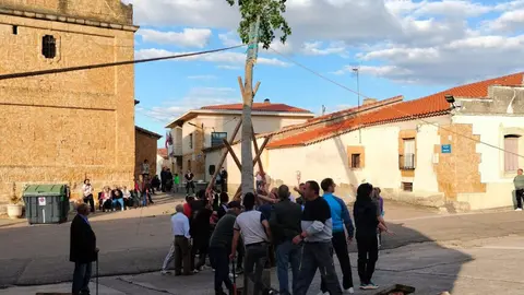 mayo de gema