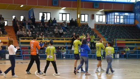 Balonnmano Zamora _38