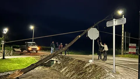 Almeida de Sayago iza el mayo con la ayuda de sus vecinos