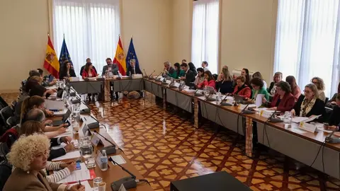 Sectorial de Infancia y Adolescencia