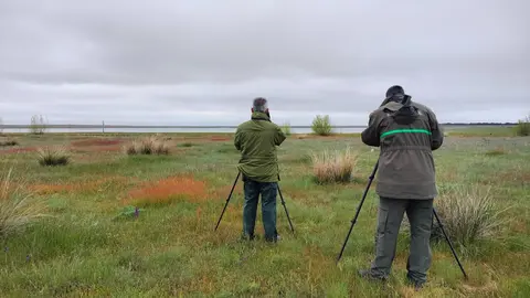 Día Mundial de las Aves Migratorias