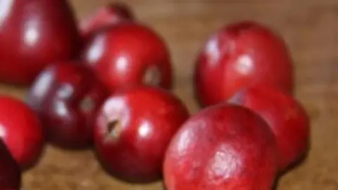 Ar&aacute;ndano Rojo. Foto de Archivo