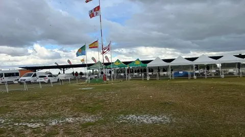 Zamora Jet Internacional 2025, Coreses