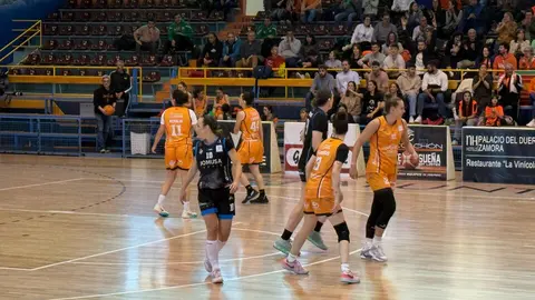 Zamarat vs Domusa