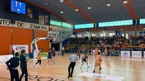 Zamarat vs Domusa