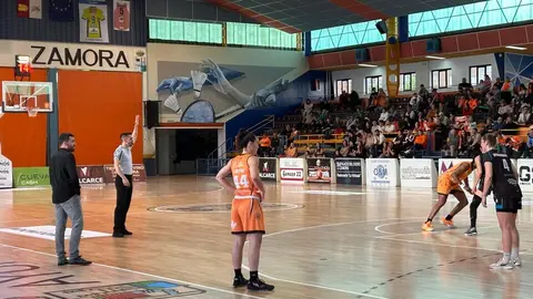 Zamarat vs Domusa