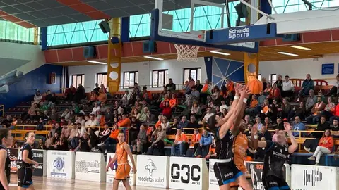 Zamarat vs Domusa