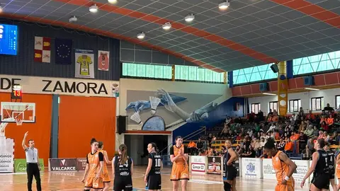 Zamarat vs Domusa