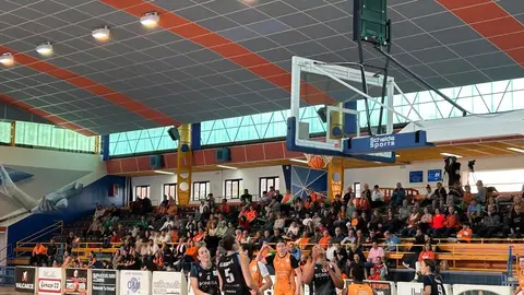 Zamarat vs Domusa