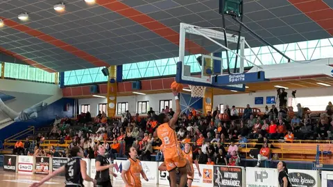 Zamarat vs Domusa