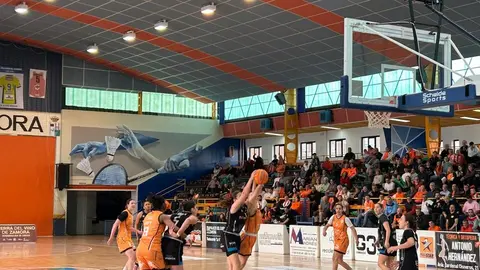 Zamarat vs Domusa