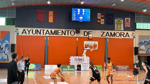Zamarat vs Domusa