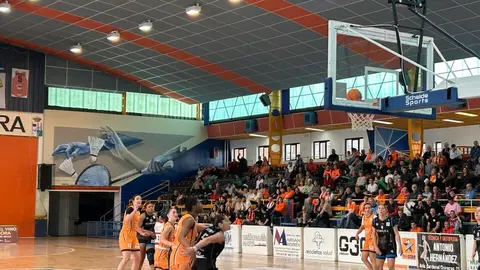 Zamarat vs Domusa