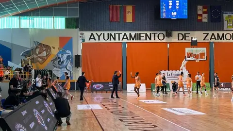 Zamarat vs Domusa