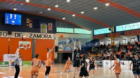 Zamarat vs Domusa