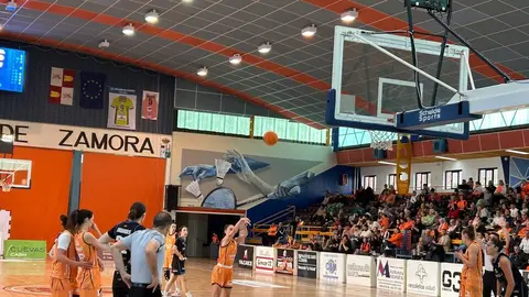 Zamarat vs Domusa