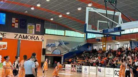 Zamarat vs Domusa