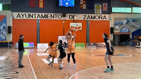 Zamarat vs Domusa