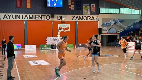 Zamarat vs Domusa