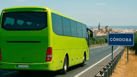 BM Zamora, la fase de ascenso