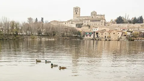 maria-yolanda-c-p-Ovq-L-G512U-unsplash